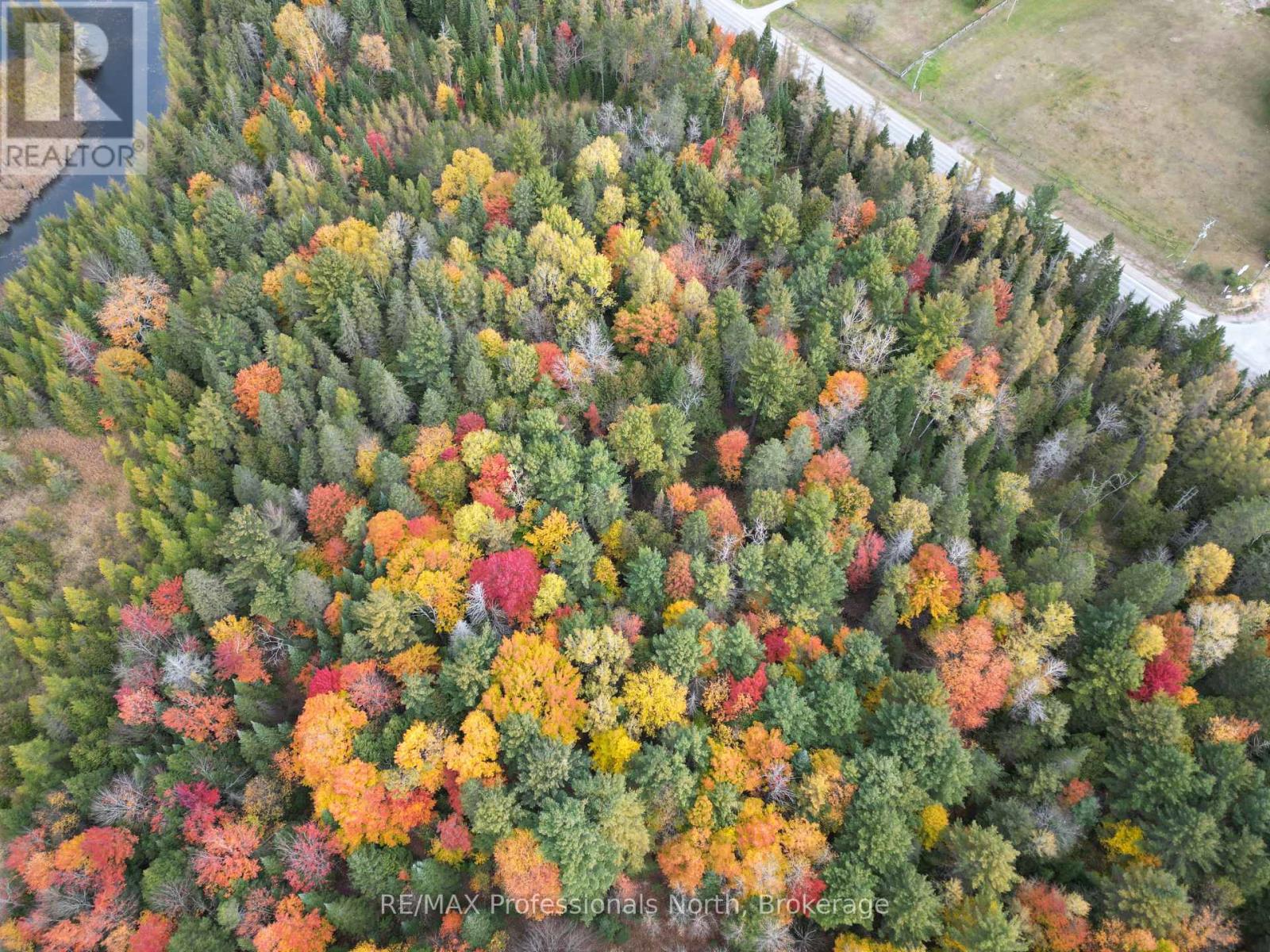 0 County Road 121, Kawartha Lakes, Ontario  K0M 2A0 - Photo 17 - X12237632