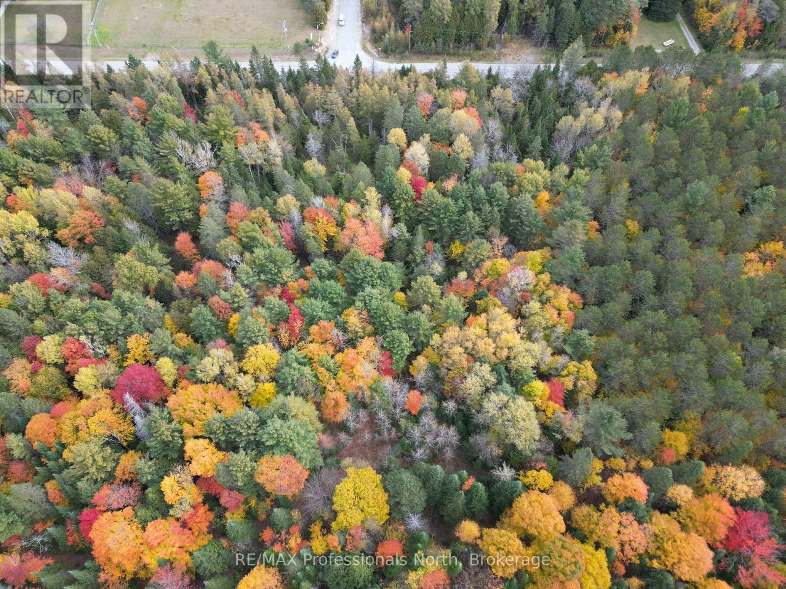 0 County Road 121, Kawartha Lakes, Ontario  K0M 2A0 - Photo 18 - X12237632