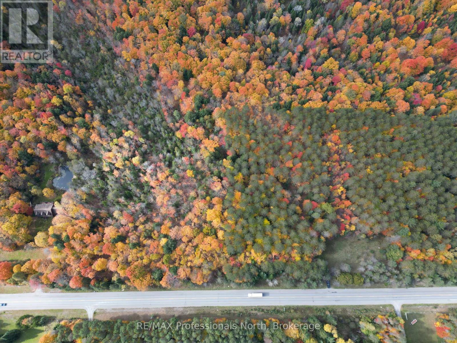 0 County Road 121, Kawartha Lakes, Ontario  K0M 2A0 - Photo 3 - X12237632