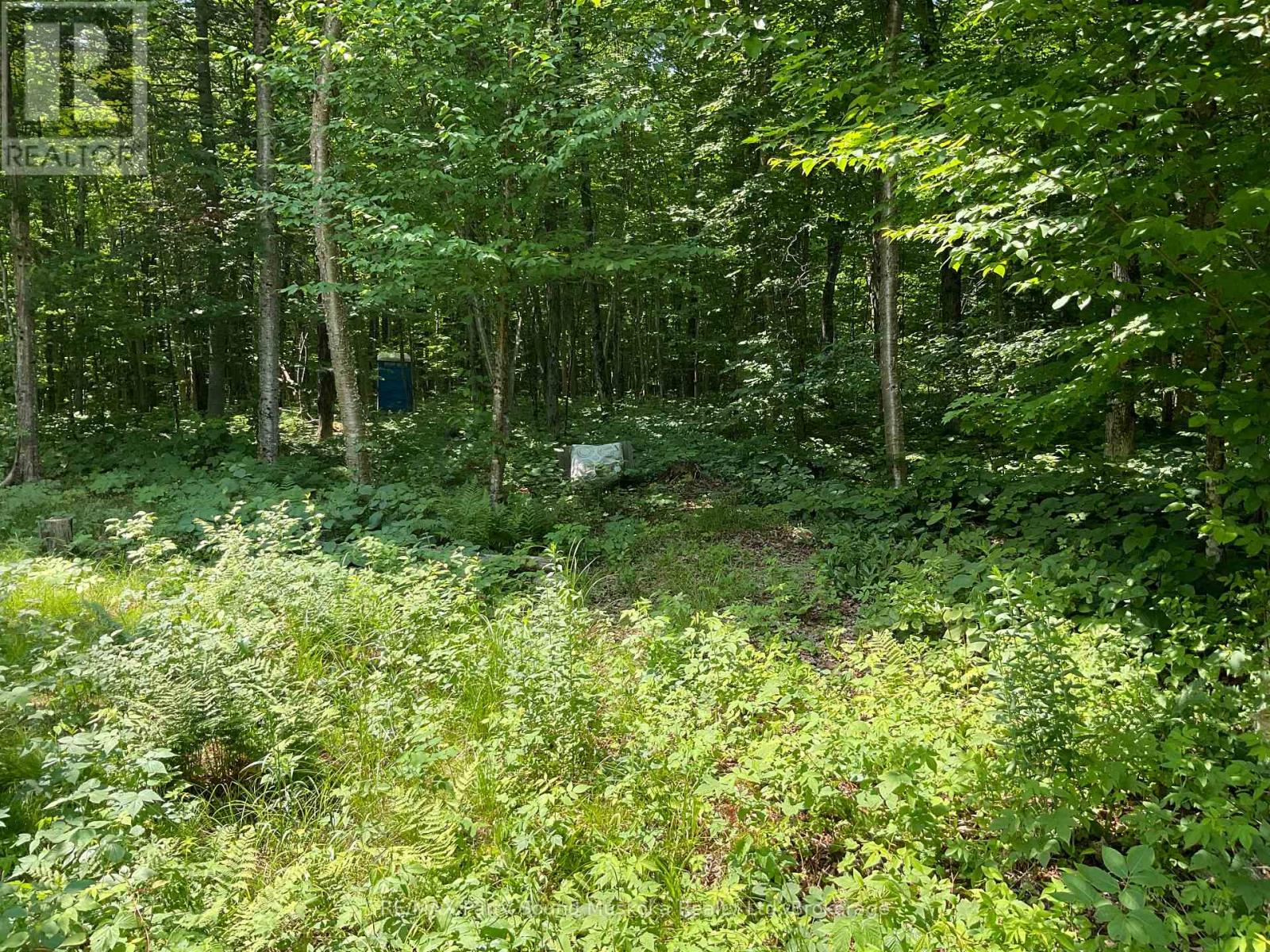 00 Jack's, Parry Sound Remote Area, Ontario  P0H 1A0 - Photo 21 - X12238130