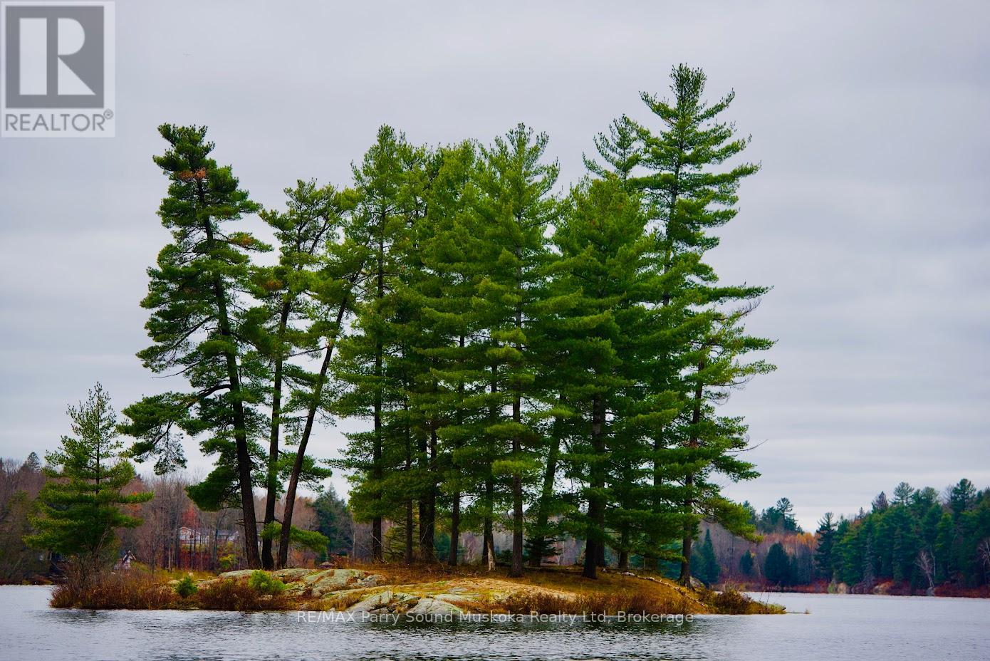 00 Jack's, Parry Sound Remote Area, Ontario  P0H 1A0 - Photo 7 - X12238130