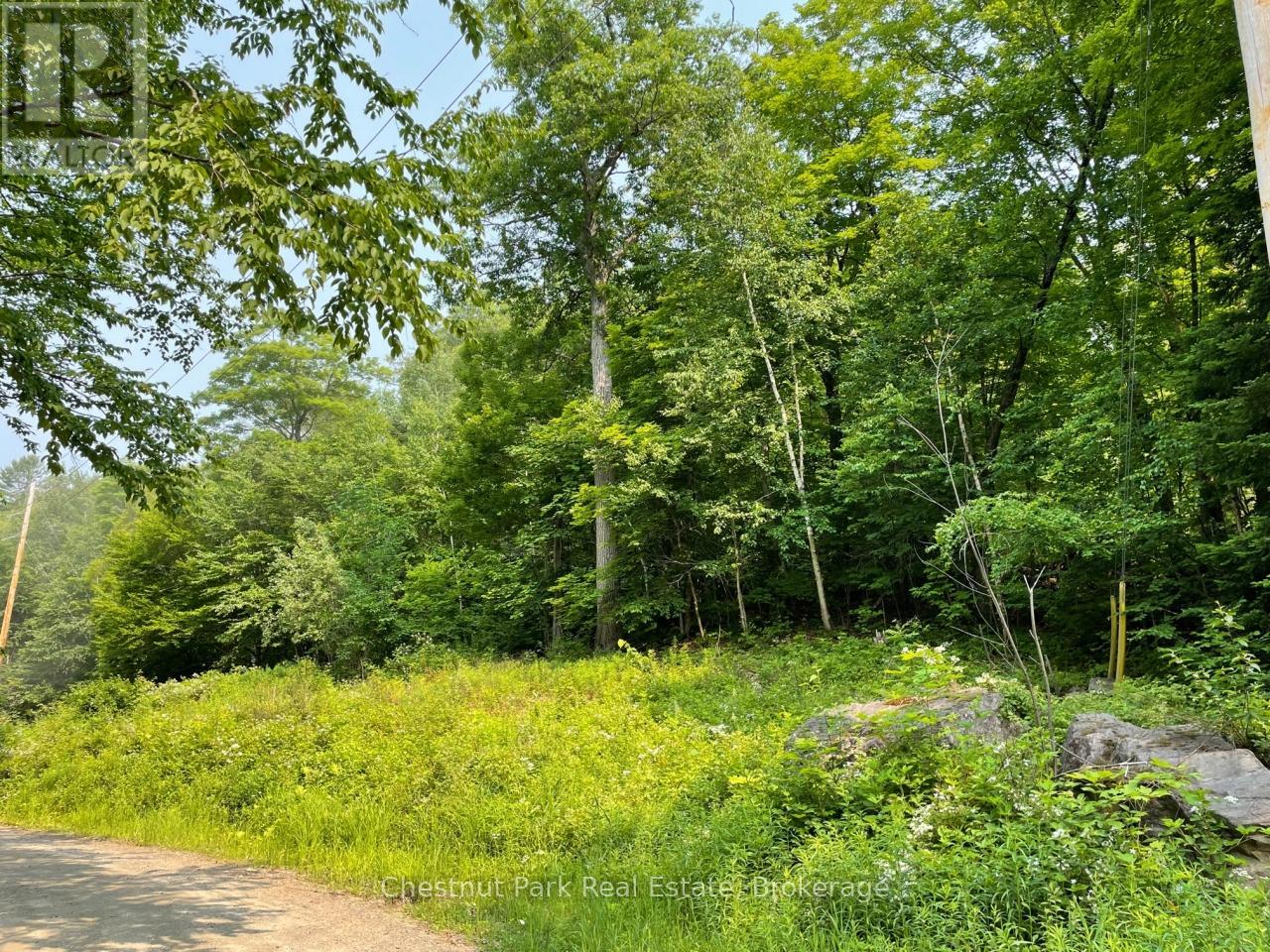 0 Coleman Lake Road, Dysart Et Al, Ontario  K0M 2S0 - Photo 2 - X12238390