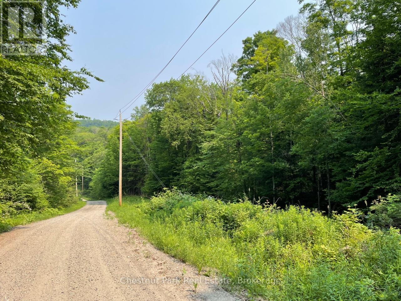 0 Coleman Lake Road, Dysart Et Al, Ontario  K0M 2S0 - Photo 4 - X12238390
