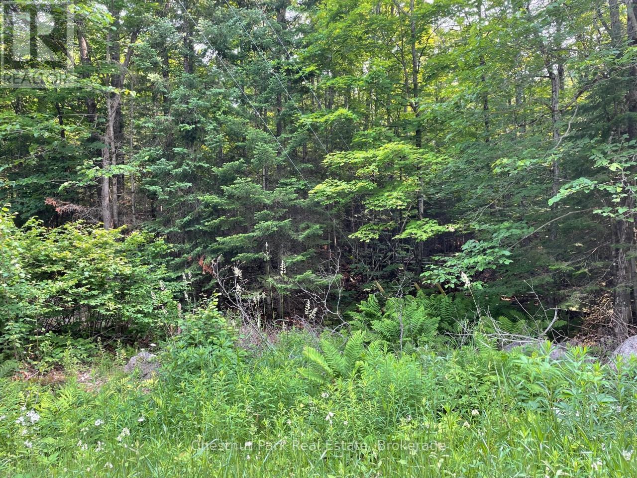 0 Coleman Lake Road, Dysart Et Al, Ontario  K0M 2S0 - Photo 7 - X12238390