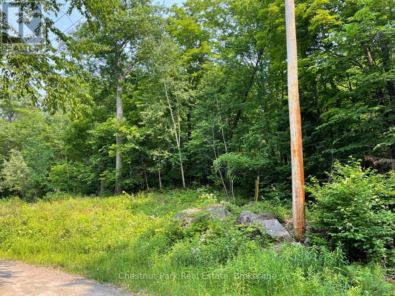 0 Coleman Lake Road, Dysart Et Al, Ontario  K0M 2S0 - Photo 8 - X12238390