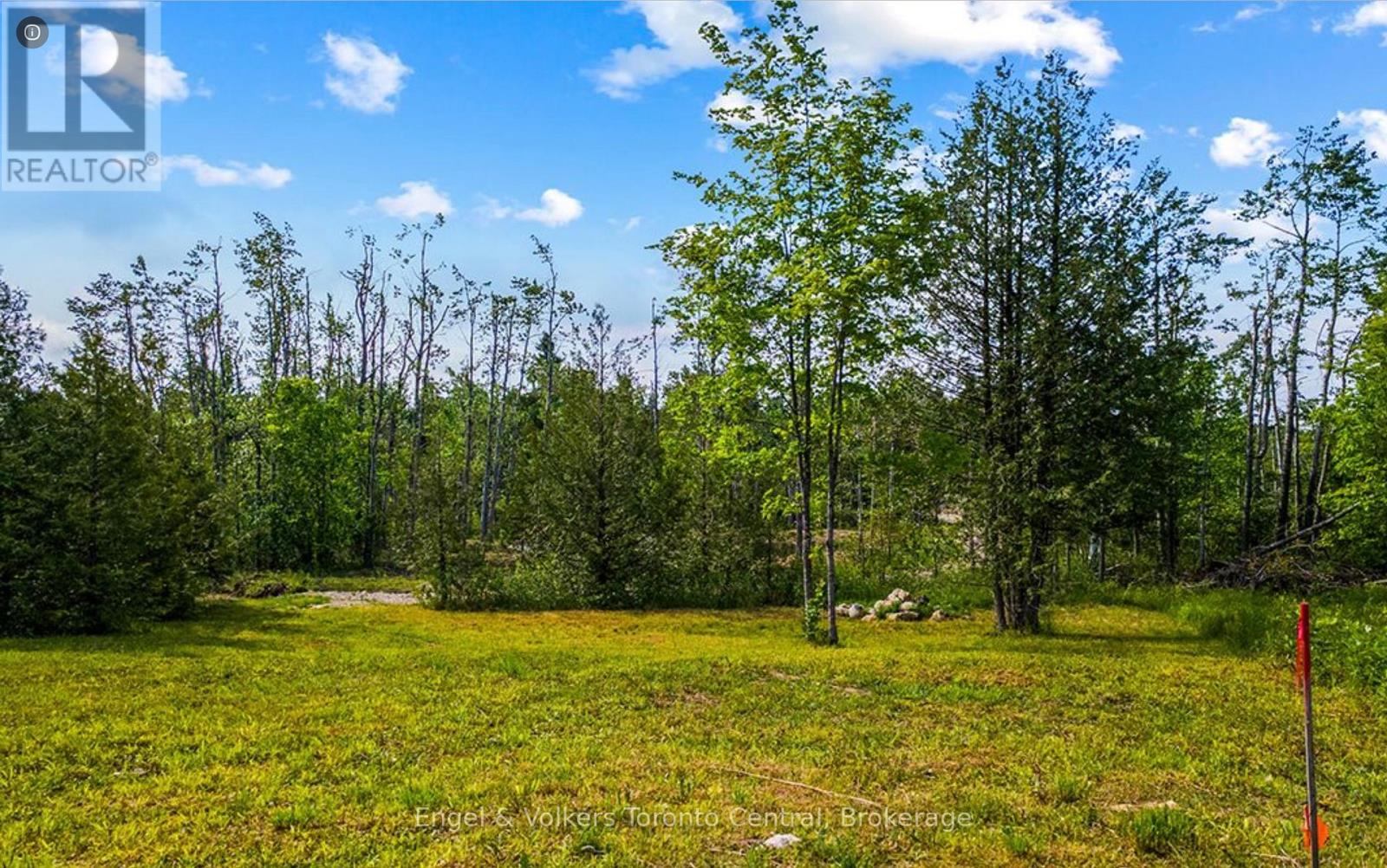429571 8th Concession B Concession, Grey Highlands, Ontario  N0C 1M0 - Photo 5 - X12239189