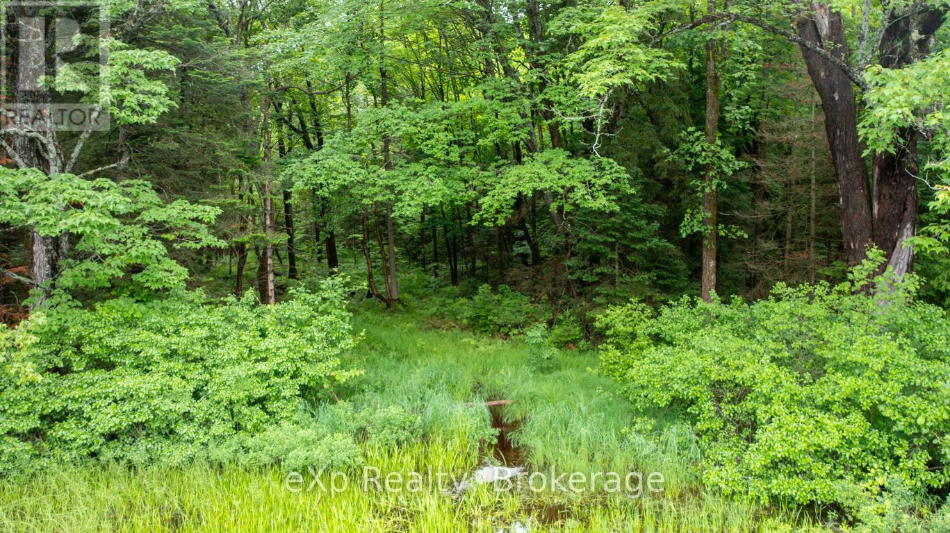 3 Kingfisher Road, Mcdougall, Ontario  P2A 2W9 - Photo 12 - X12239922