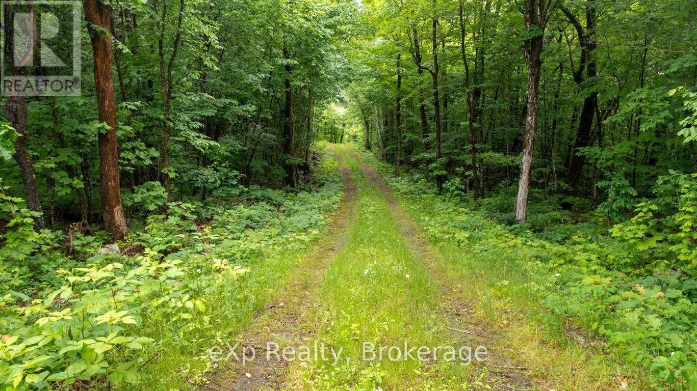 3 Kingfisher Road, Mcdougall, Ontario  P2A 2W9 - Photo 15 - X12239922