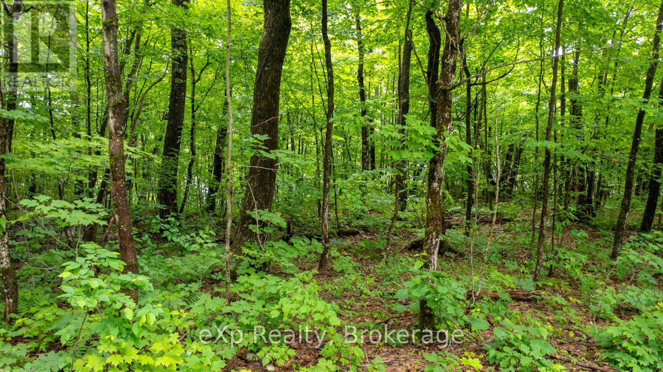 3 Kingfisher Road, Mcdougall, Ontario  P2A 2W9 - Photo 16 - X12239922