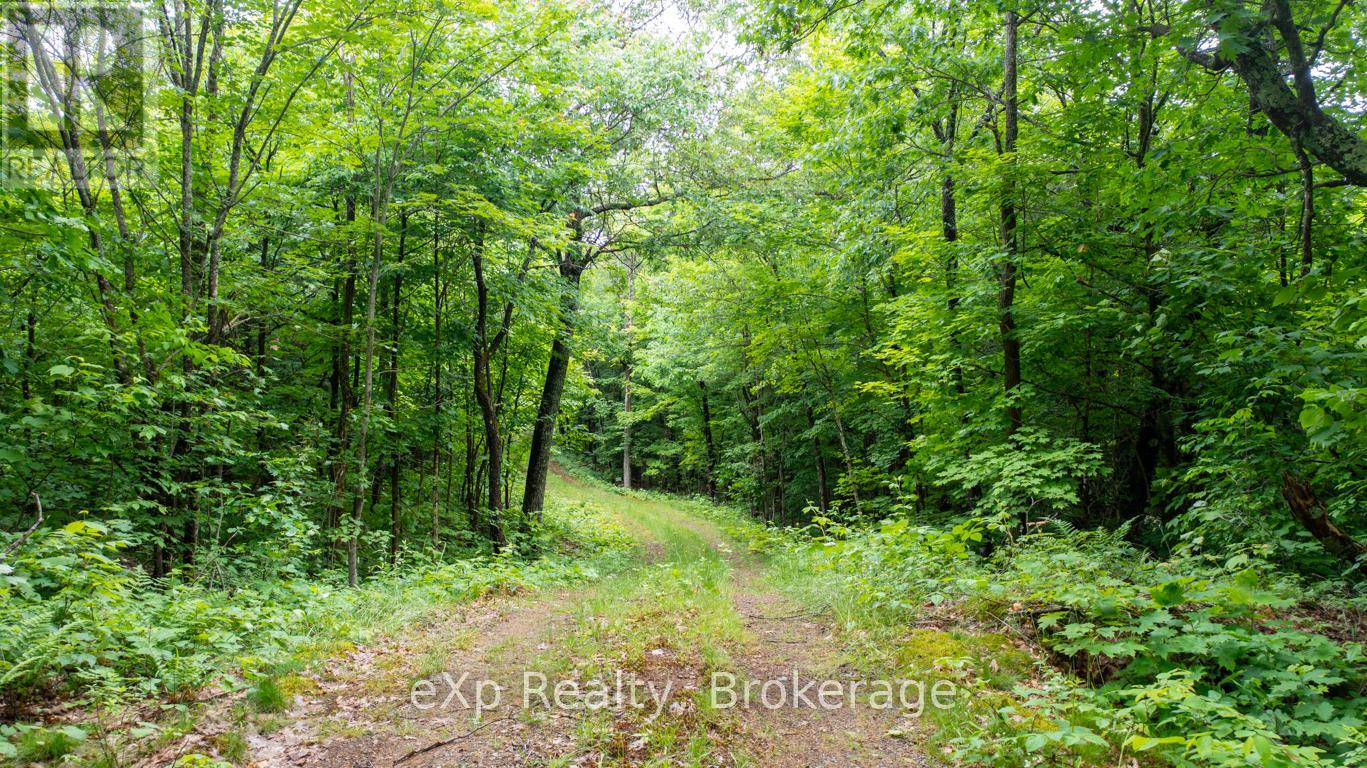 3 Kingfisher Road, Mcdougall, Ontario  P2A 2W9 - Photo 17 - X12239922