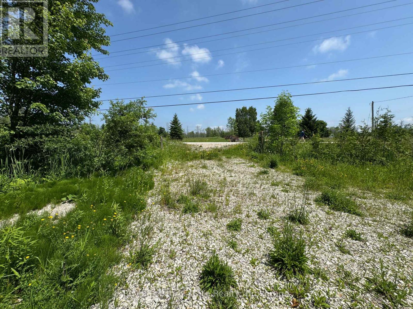Pt Lt 36 & Pt Lt 37;  13 Concession, Arran-Elderslie, Ontario  N0H 1A0 - Photo 4 - X12240893