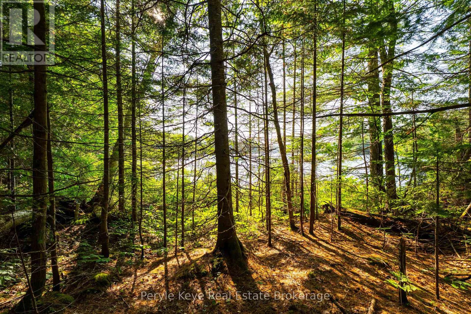 1544 South Lancelot Road, Huntsville, Ontario  P0B 1M0 - Photo 14 - X12241198