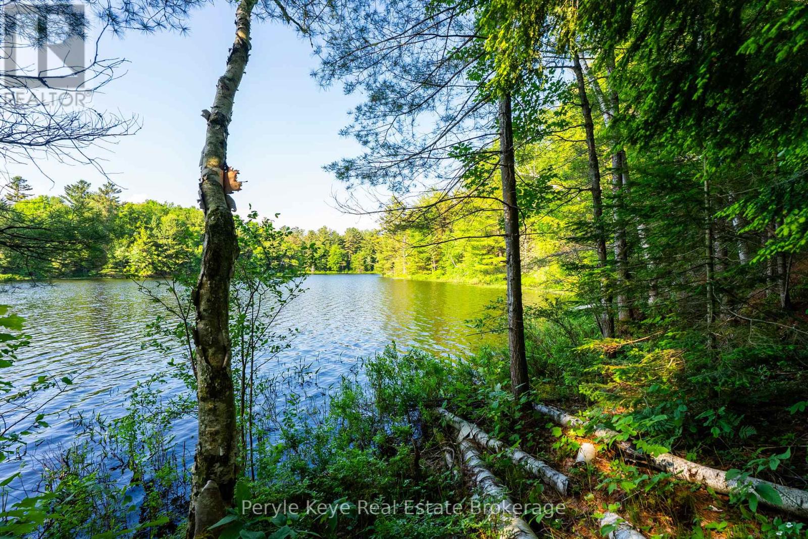1544 South Lancelot Road, Huntsville, Ontario  P0B 1M0 - Photo 6 - X12241198