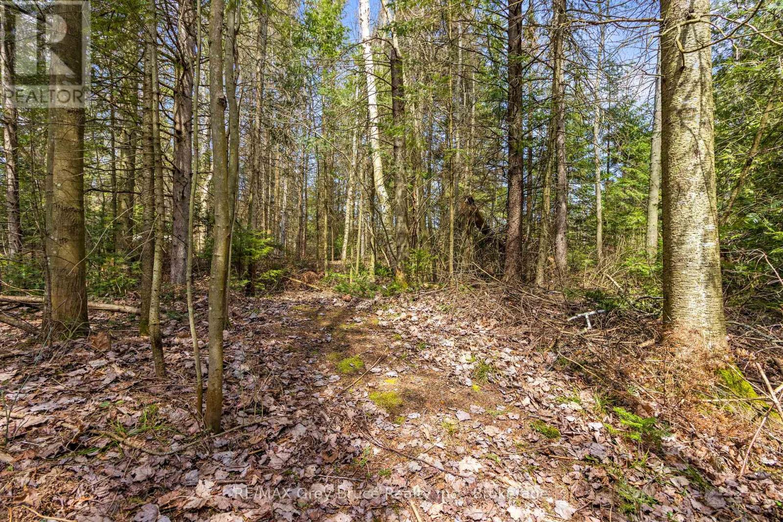 33 Woodstock Avenue, Northern Bruce Peninsula, Ontario  N0H 2M0 - Photo 44 - X12241443
