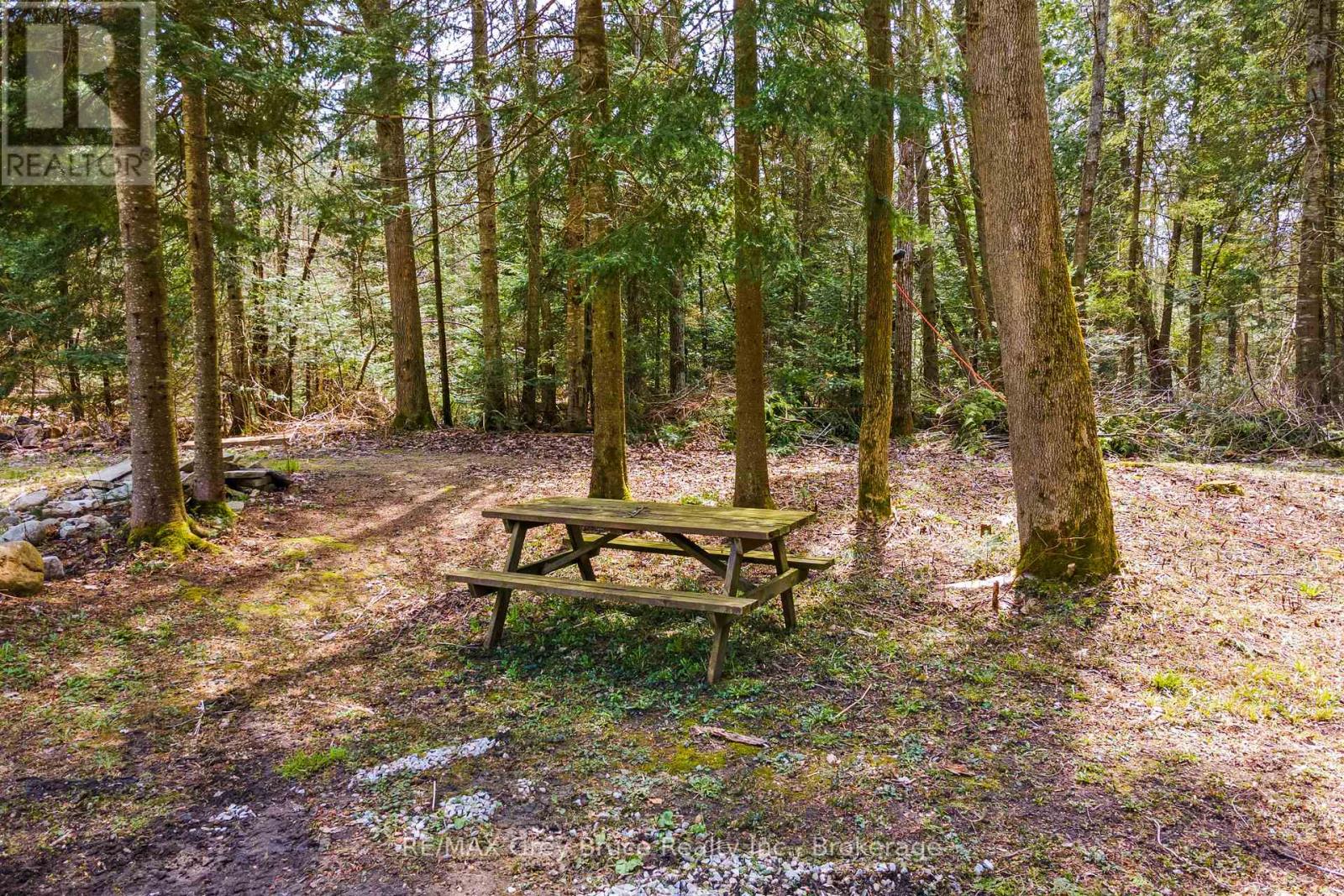 33 Woodstock Avenue, Northern Bruce Peninsula, Ontario  N0H 2M0 - Photo 45 - X12241443