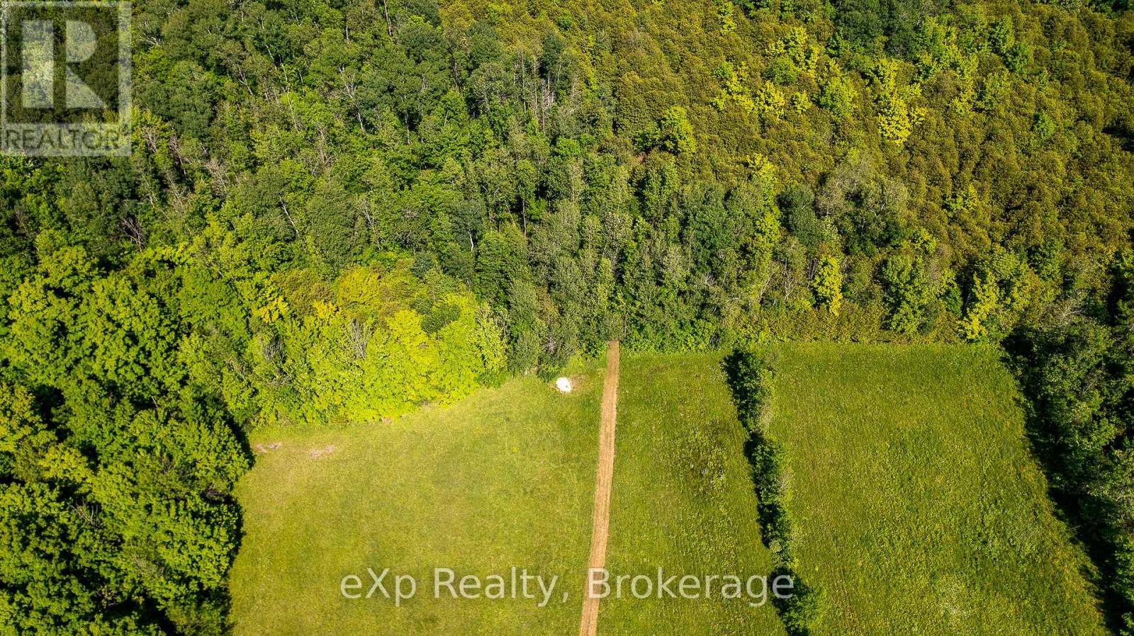 317517 6 & 10 Highway, Meaford, Ontario  N4K 5N6 - Photo 39 - X12241537