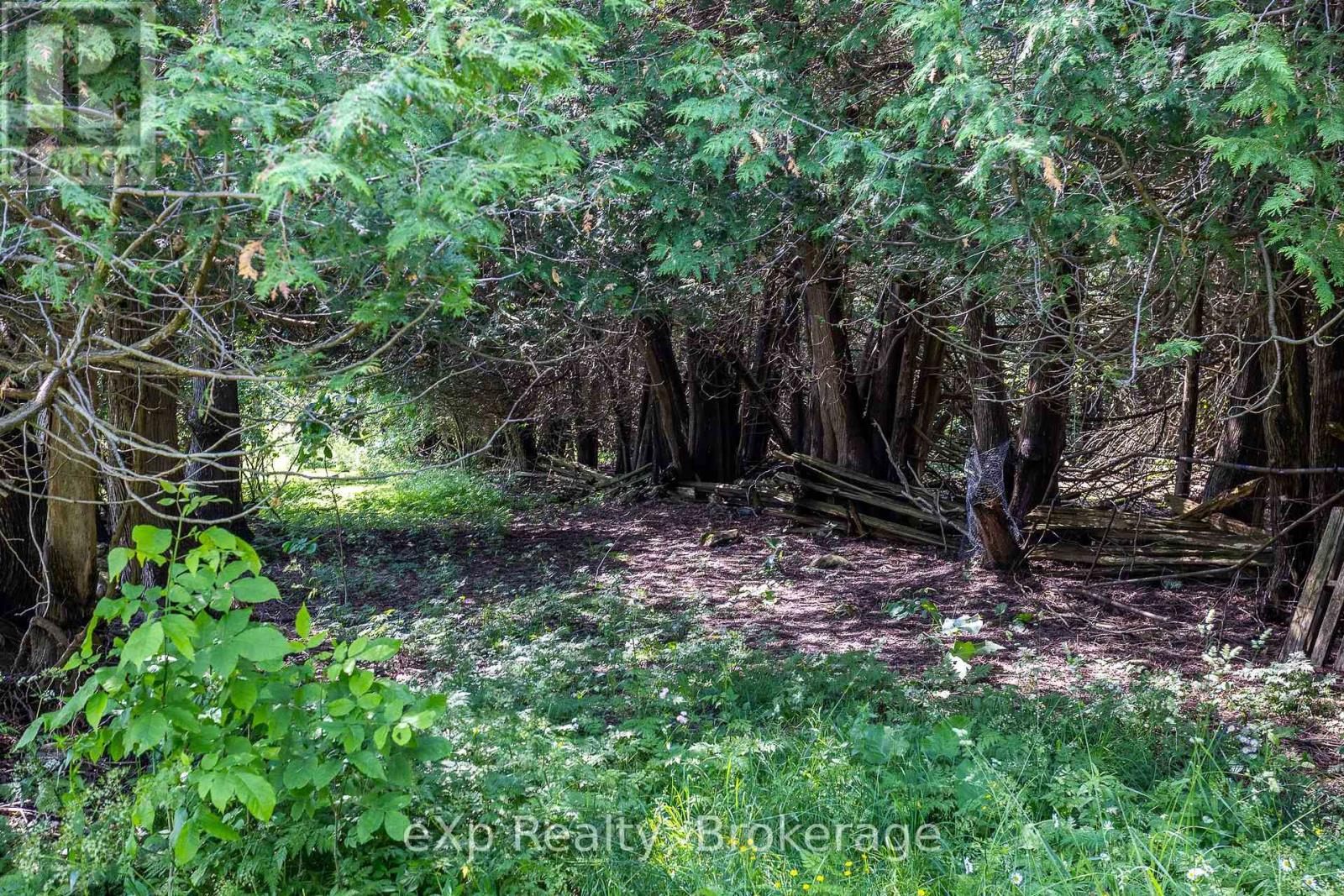 317517 6 & 10 Highway, Meaford, Ontario  N4K 5N6 - Photo 36 - X12241541
