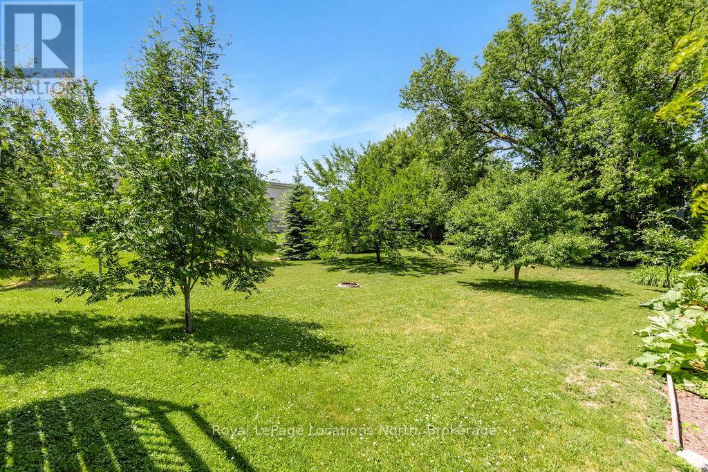 21 Robert Avenue, Collingwood, Ontario  L9Y 5N5 - Photo 43 - S12241714