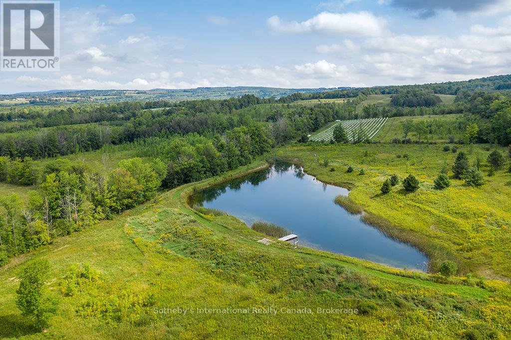 415763 10th Line, Blue Mountains, Ontario  N0H 1J0 - Photo 40 - X12242039