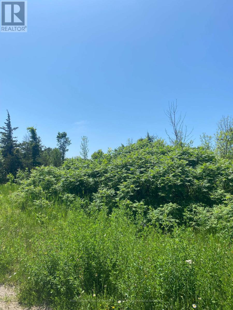 155 Hillside Drive, Georgian Bay, Ontario  L0K 1S0 - Photo 1 - X12242152