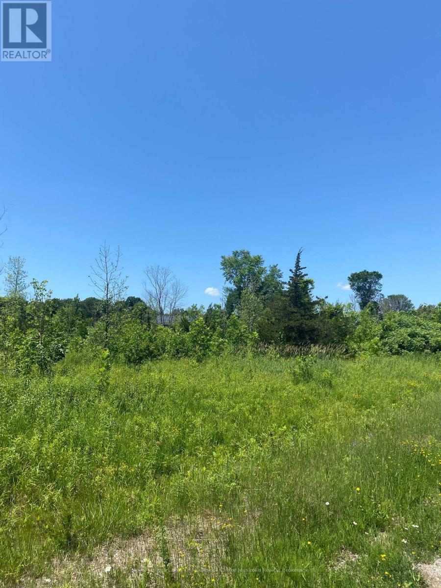 155 Hillside Drive, Georgian Bay, Ontario  L0K 1S0 - Photo 2 - X12242152