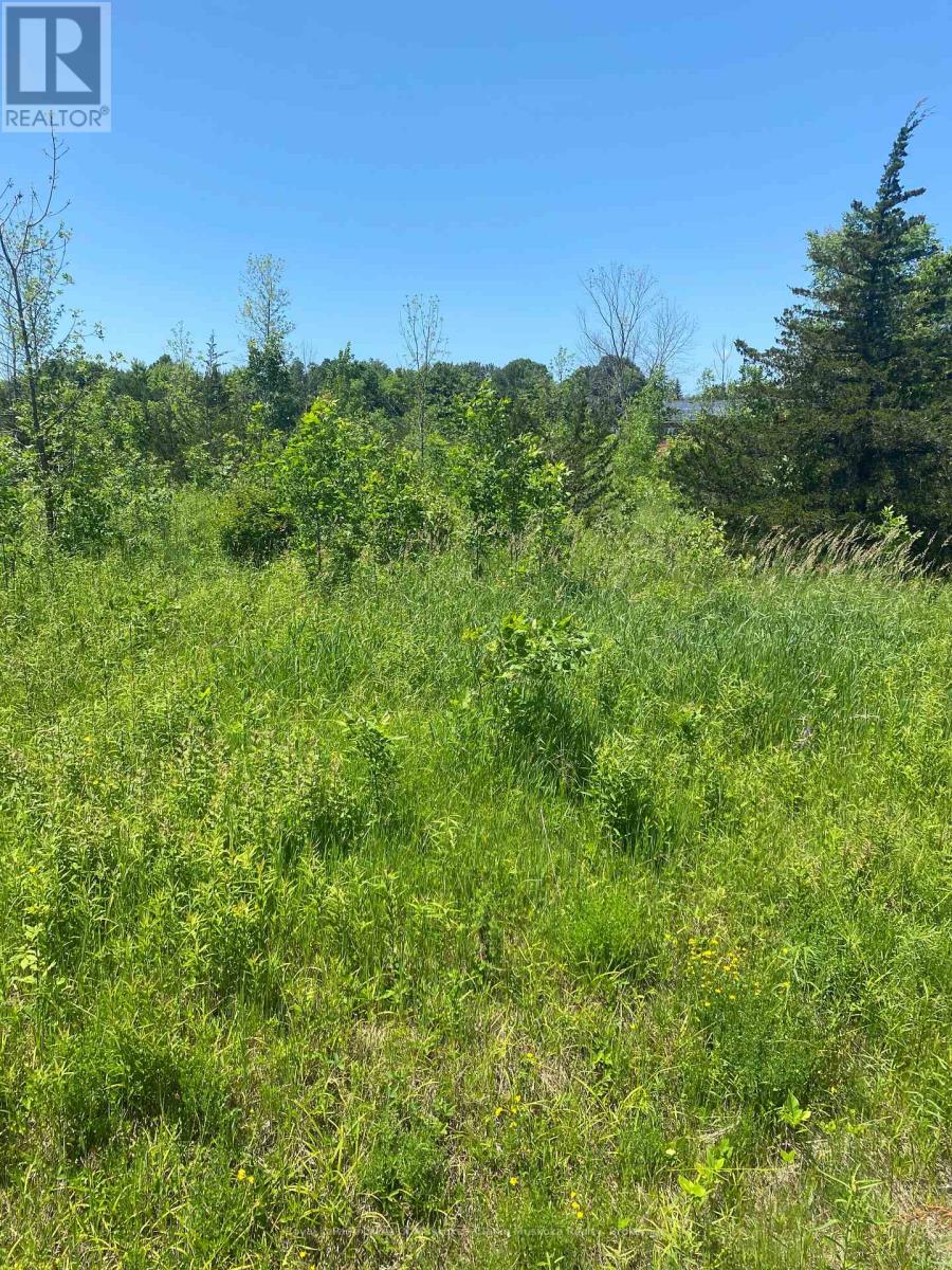 155 Hillside Drive, Georgian Bay, Ontario  L0K 1S0 - Photo 3 - X12242152