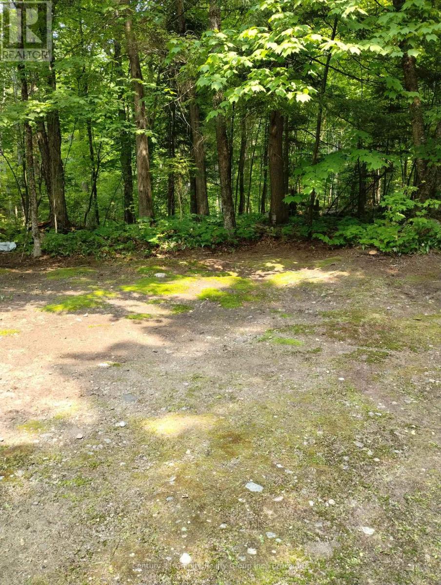 Lot 10 Loon Lake Road S, Dysart Et Al, Ontario  K0M 1S0 - Photo 12 - X12242189