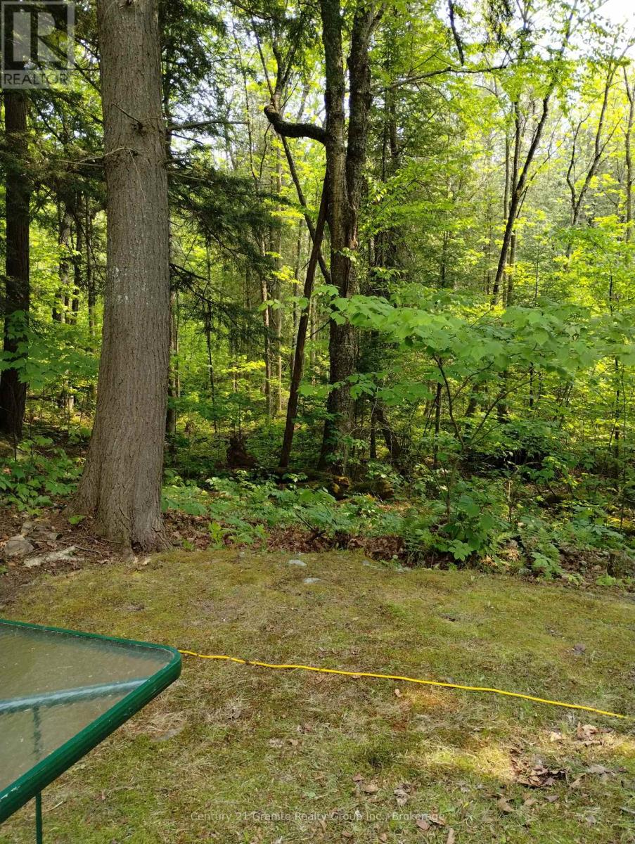 Lot 10 Loon Lake Road S, Dysart Et Al, Ontario  K0M 1S0 - Photo 13 - X12242189