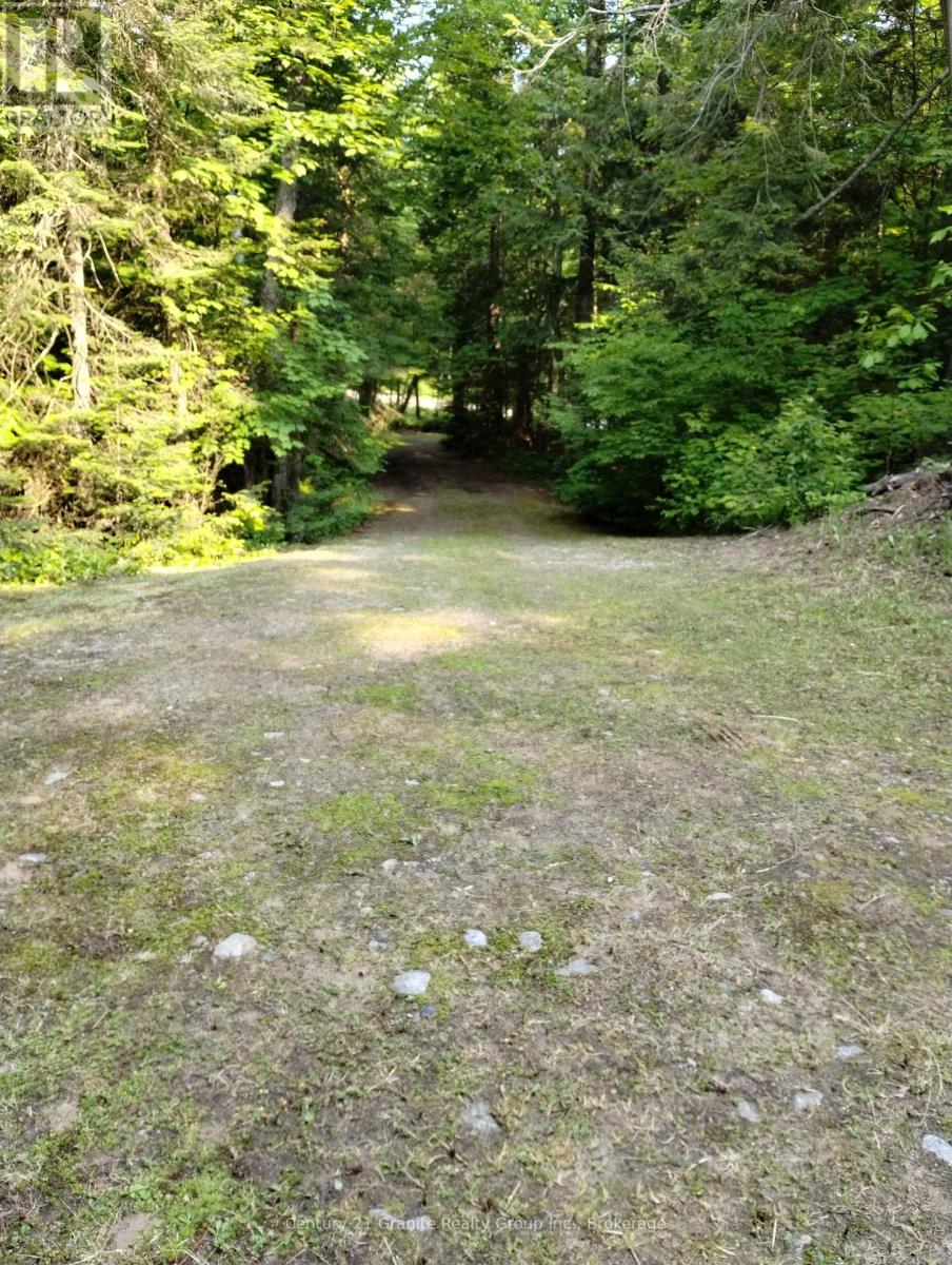 Lot 10 Loon Lake Road S, Dysart Et Al, Ontario  K0M 1S0 - Photo 15 - X12242189