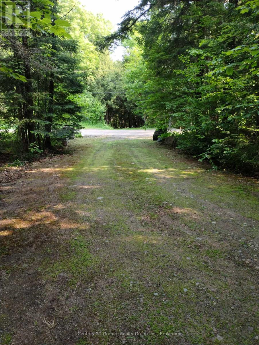 Lot 10 Loon Lake Road S, Dysart Et Al, Ontario  K0M 1S0 - Photo 17 - X12242189