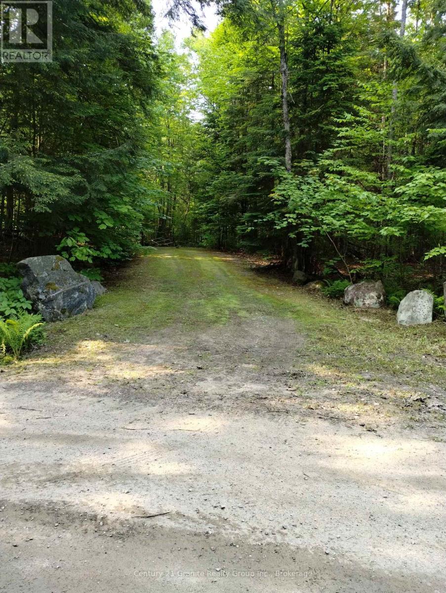 Lot 10 Loon Lake Road S, Dysart Et Al, Ontario  K0M 1S0 - Photo 18 - X12242189