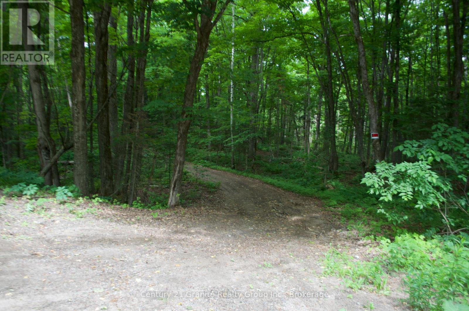 Lot 10 Loon Lake Road S, Dysart Et Al, Ontario  K0M 1S0 - Photo 19 - X12242189