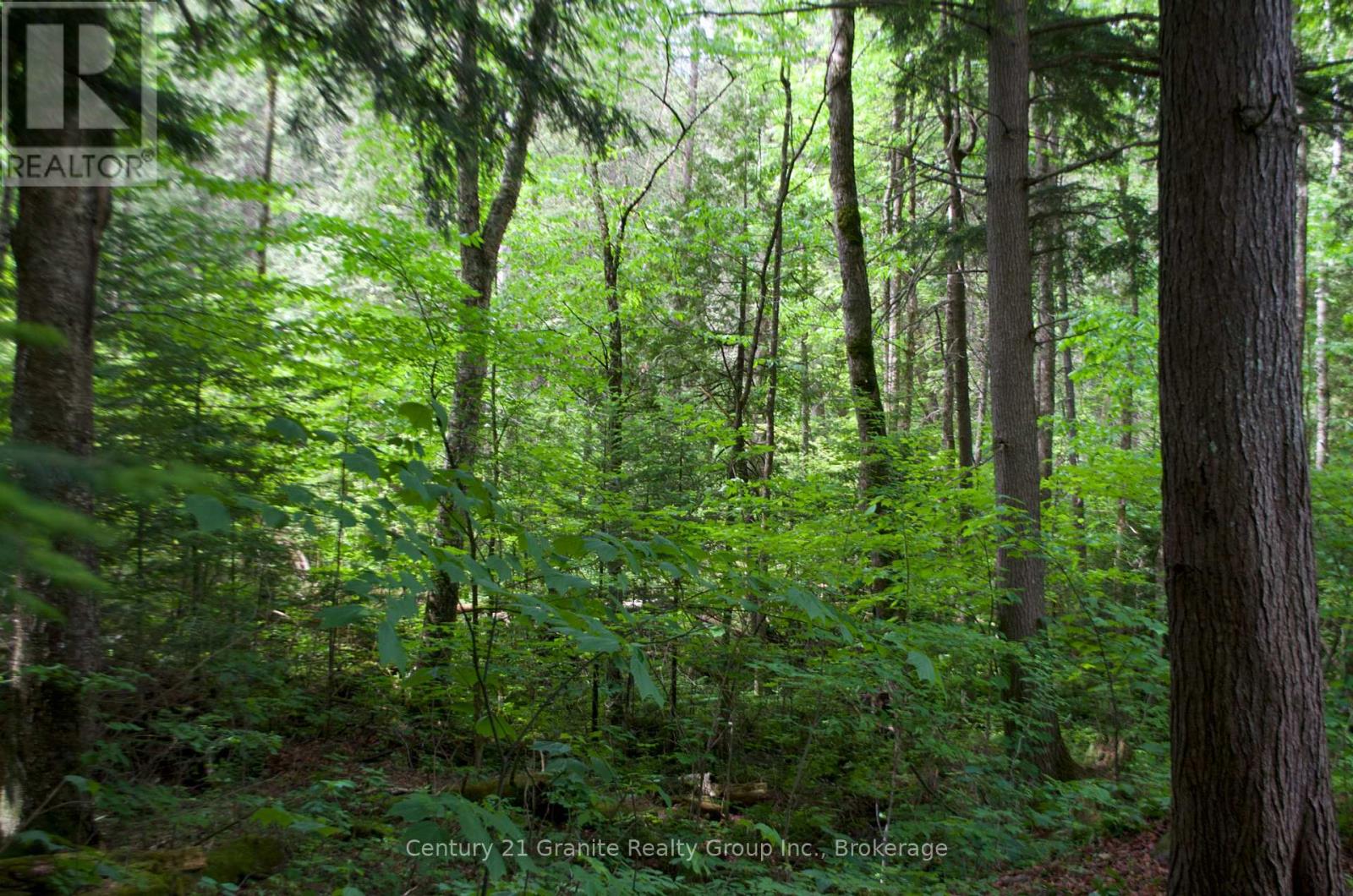 Lot 10 Loon Lake Road S, Dysart Et Al, Ontario  K0M 1S0 - Photo 23 - X12242189