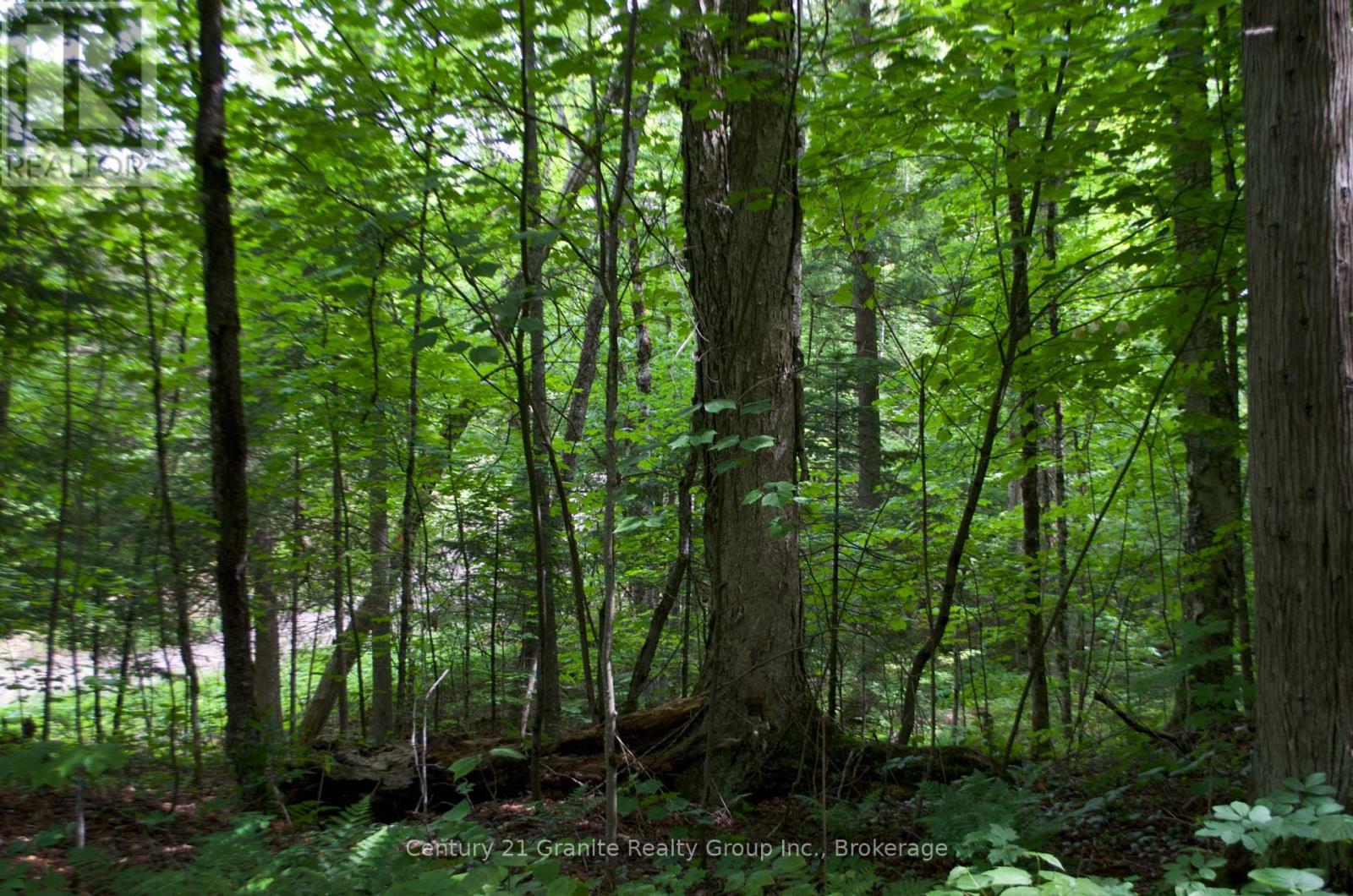 Lot 10 Loon Lake Road S, Dysart Et Al, Ontario  K0M 1S0 - Photo 24 - X12242189