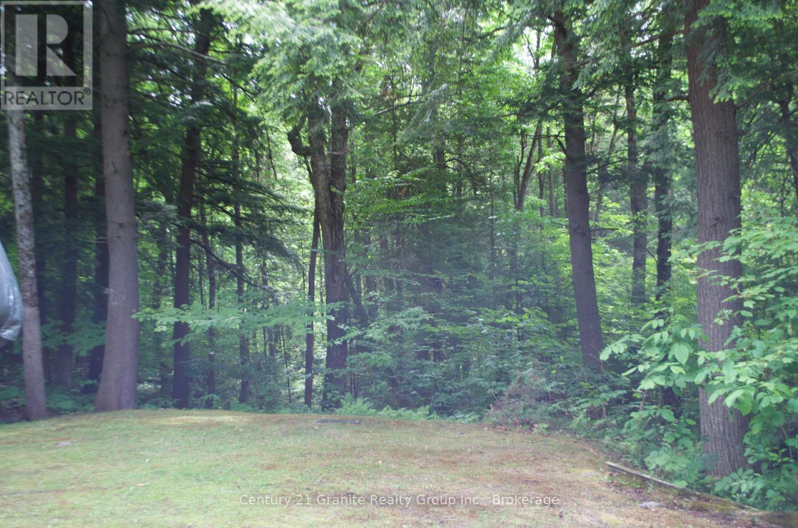 Lot 10 Loon Lake Road S, Dysart Et Al, Ontario  K0M 1S0 - Photo 26 - X12242189