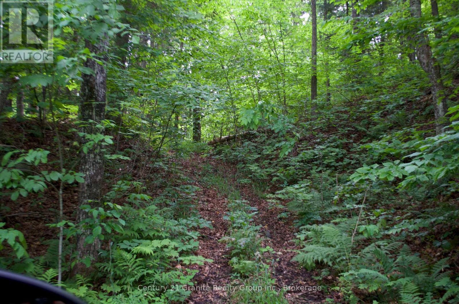 Lot 10 Loon Lake Road S, Dysart Et Al, Ontario  K0M 1S0 - Photo 33 - X12242189