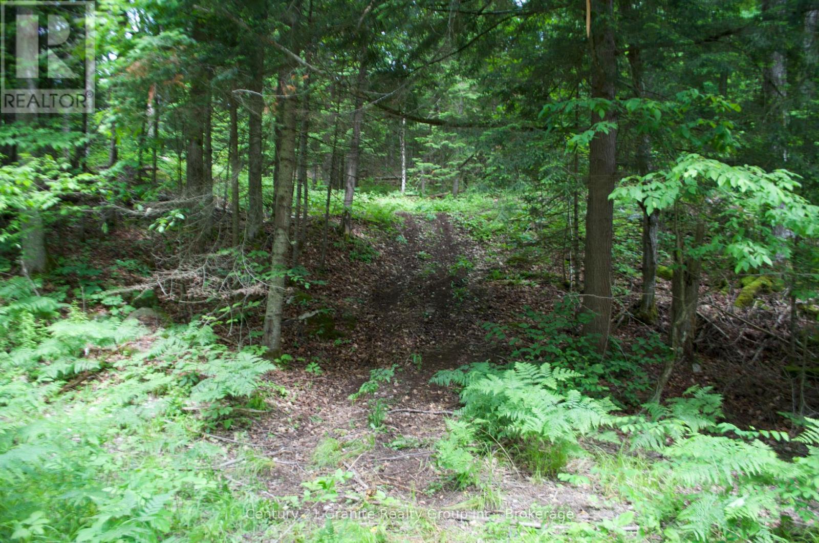 Lot 10 Loon Lake Road S, Dysart Et Al, Ontario  K0M 1S0 - Photo 35 - X12242189