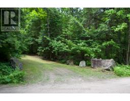 LOT 10 LOON LAKE ROAD S, Dysart et al, Ontario