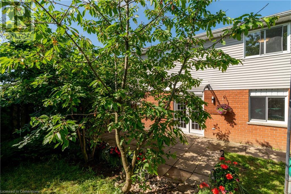 286 Newbury Drive, Kitchener, Ontario  N2N 3A3 - Photo 40 - 40741141