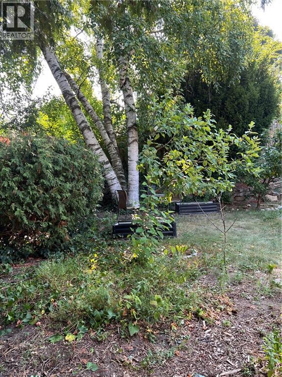122 Boehmer Street, Kitchener, Ontario  N2H 4N5 - Photo 31 - 40744879