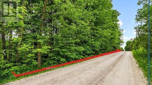 0 5 Side Road, Chatsworth, Ontario  N0H 1G0 - Photo 2 - X12243917