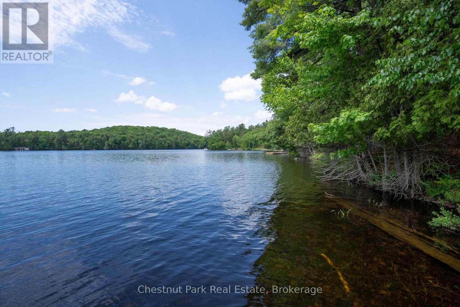 652 North Waseosa Lake Road, Huntsville, Ontario  P1H 2J4 - Photo 41 - X12244522