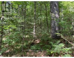 0 FOREST LAKE ROAD, Sundridge, Ontario