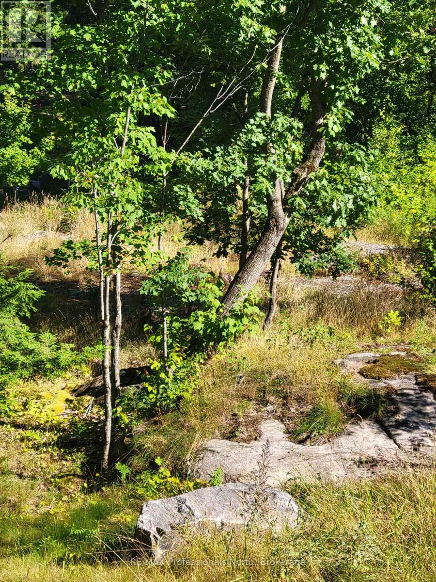 202 - 3 Tree Tops Lane, Huntsville, Ontario  P1H 1A9 - Photo 15 - X12245315