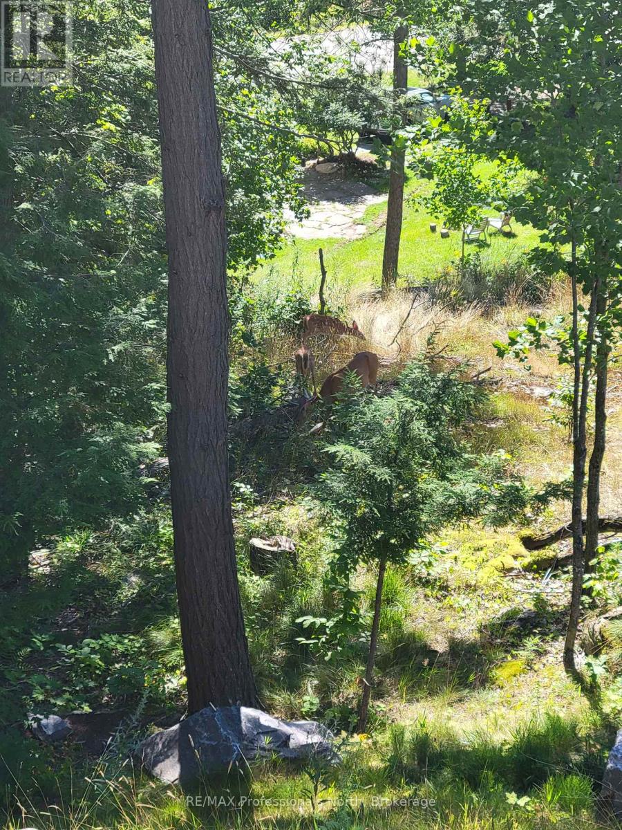 202 - 3 Tree Tops Lane, Huntsville, Ontario  P1H 1A9 - Photo 16 - X12245315