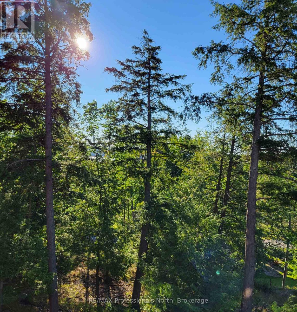 202 - 3 Tree Tops Lane, Huntsville, Ontario  P1H 1A9 - Photo 17 - X12245315