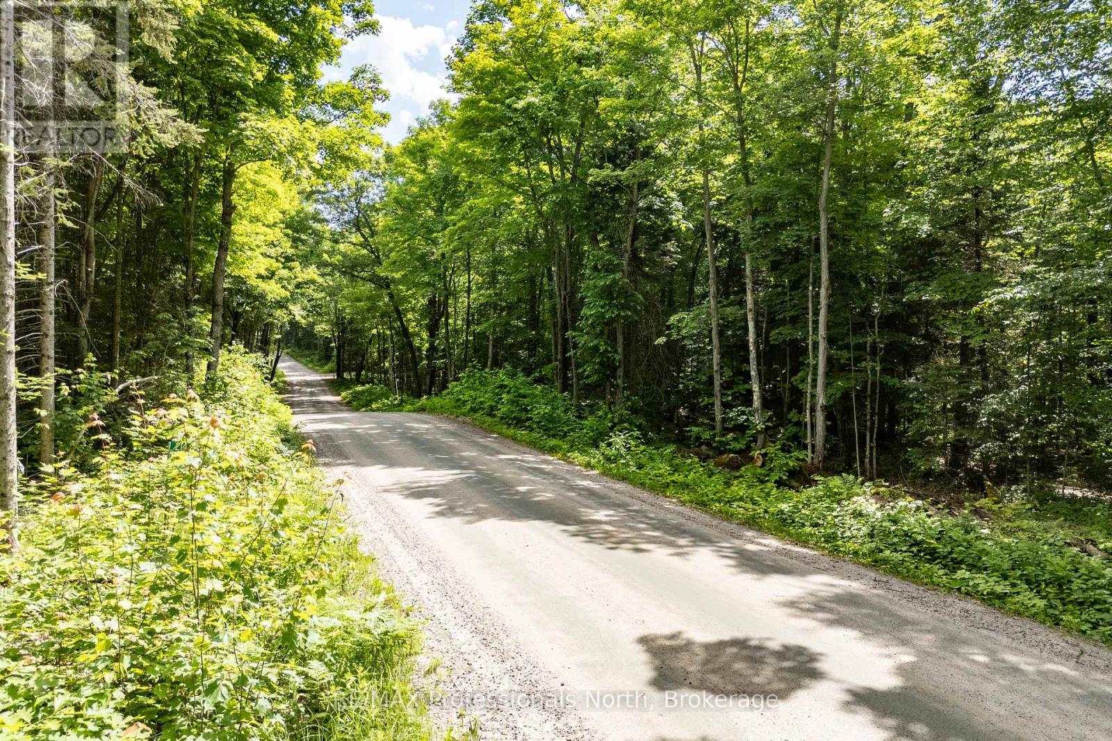 0 SOUTH HORN LAKE ROAD, Ryerson, Ontario