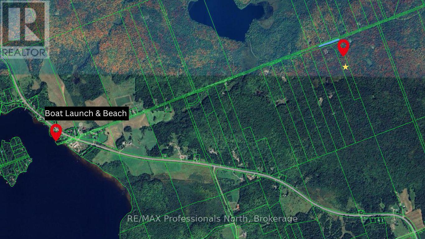 0 South Horn Lake Road, Ryerson, Ontario  P0A 1C0 - Photo 11 - X12245418