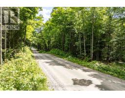 0 SOUTH HORN LAKE ROAD, Ryerson, Ontario
