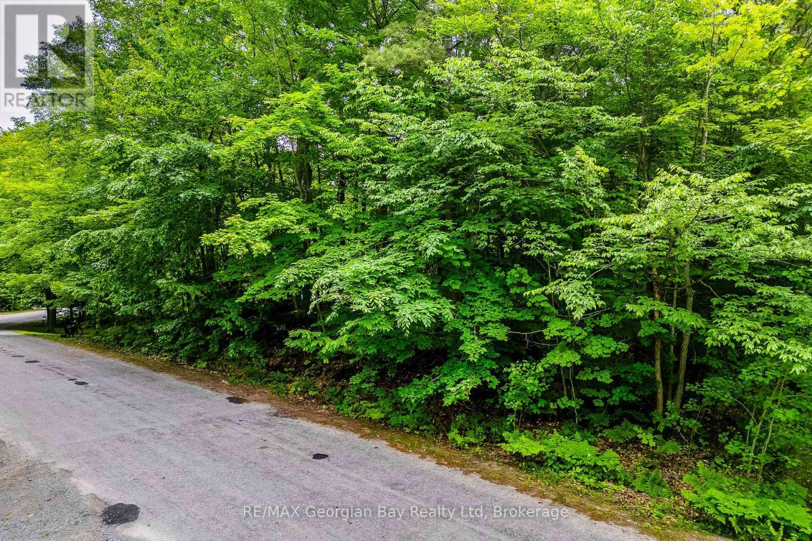 Lot 428 Desroches Trail, Tiny, Ontario  L9M 0H9 - Photo 3 - S12245841
